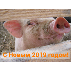 С Новым 2019 годом! График работы компании Анкор Крым